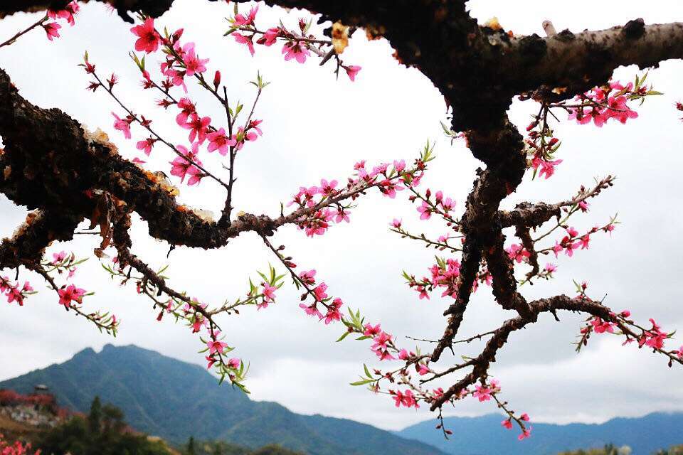 微信图片_20190212091010