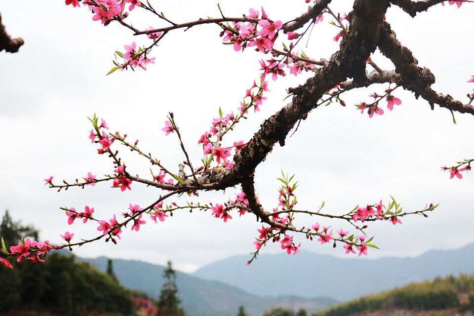 微信图片_20190212091013