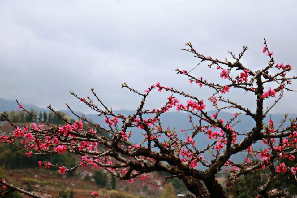 微信图片_20190212091017