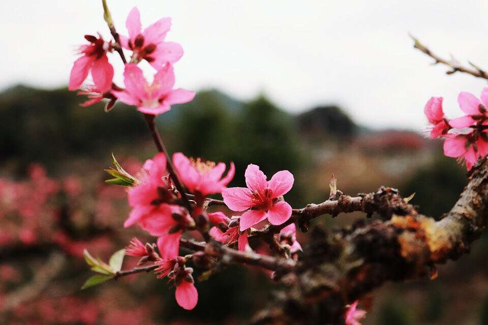 微信图片_20190212091021