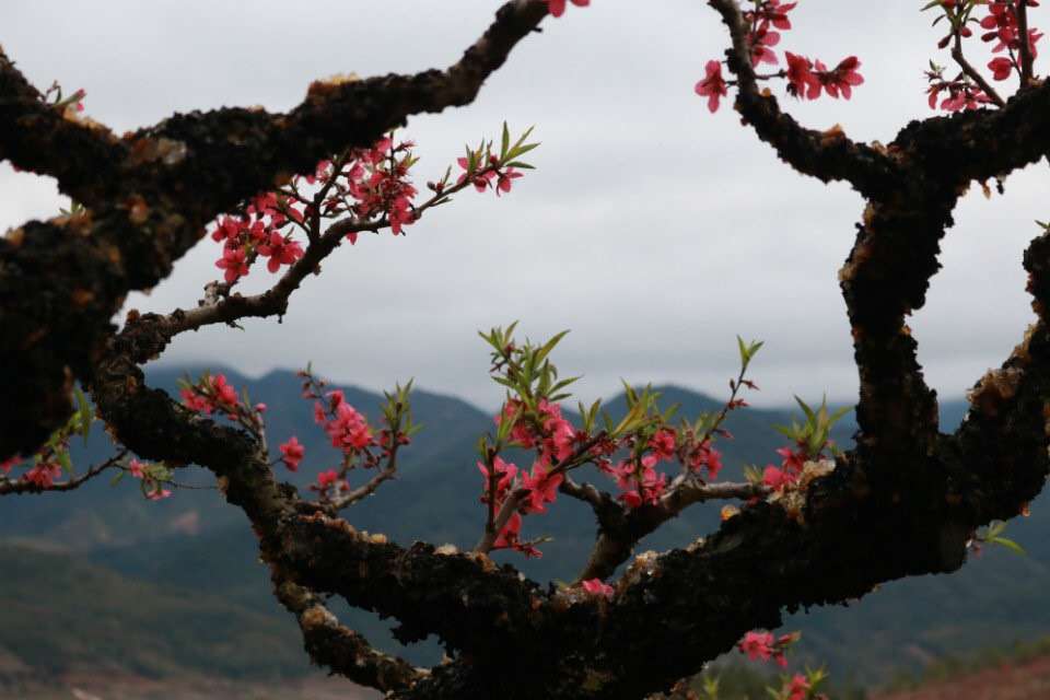 微信图片_20190212091026