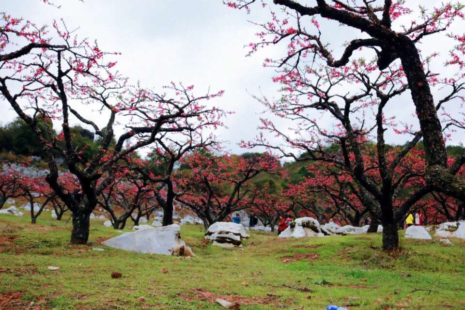 微信图片_20190212091032