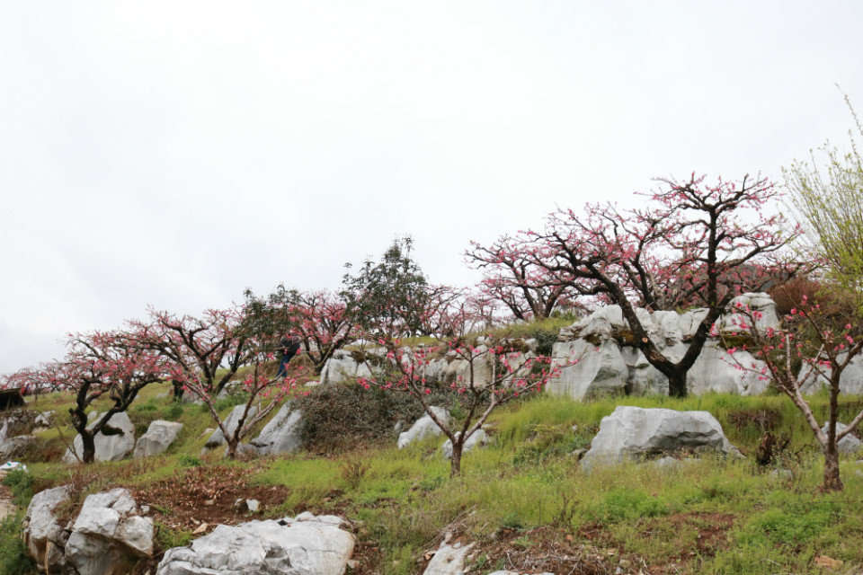 微信图片_20190212091036