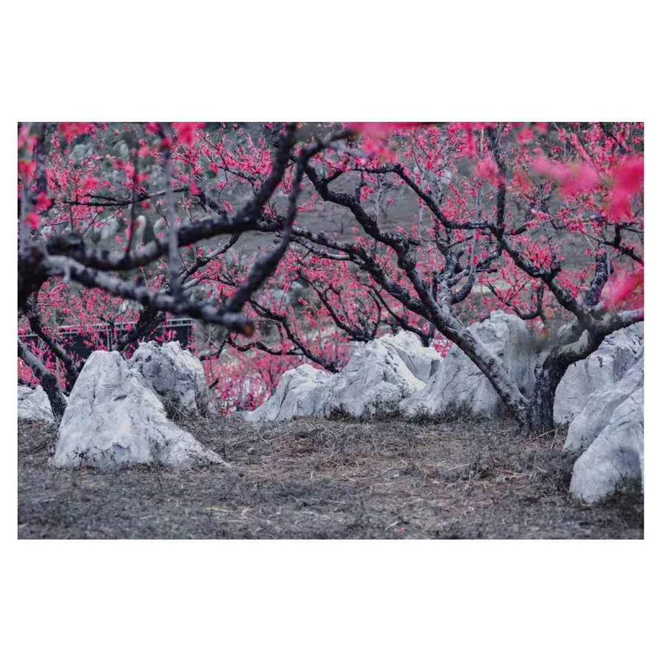 微信图片_20190218155722