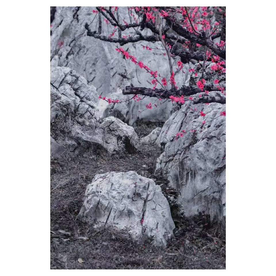 微信图片_20190218155732