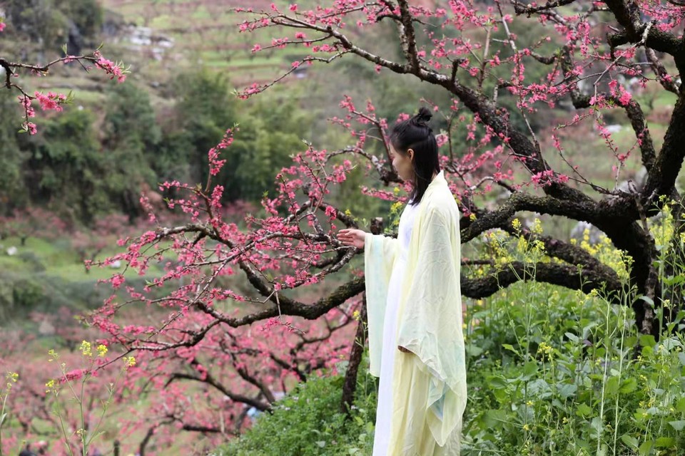 微信图片_20190225145920