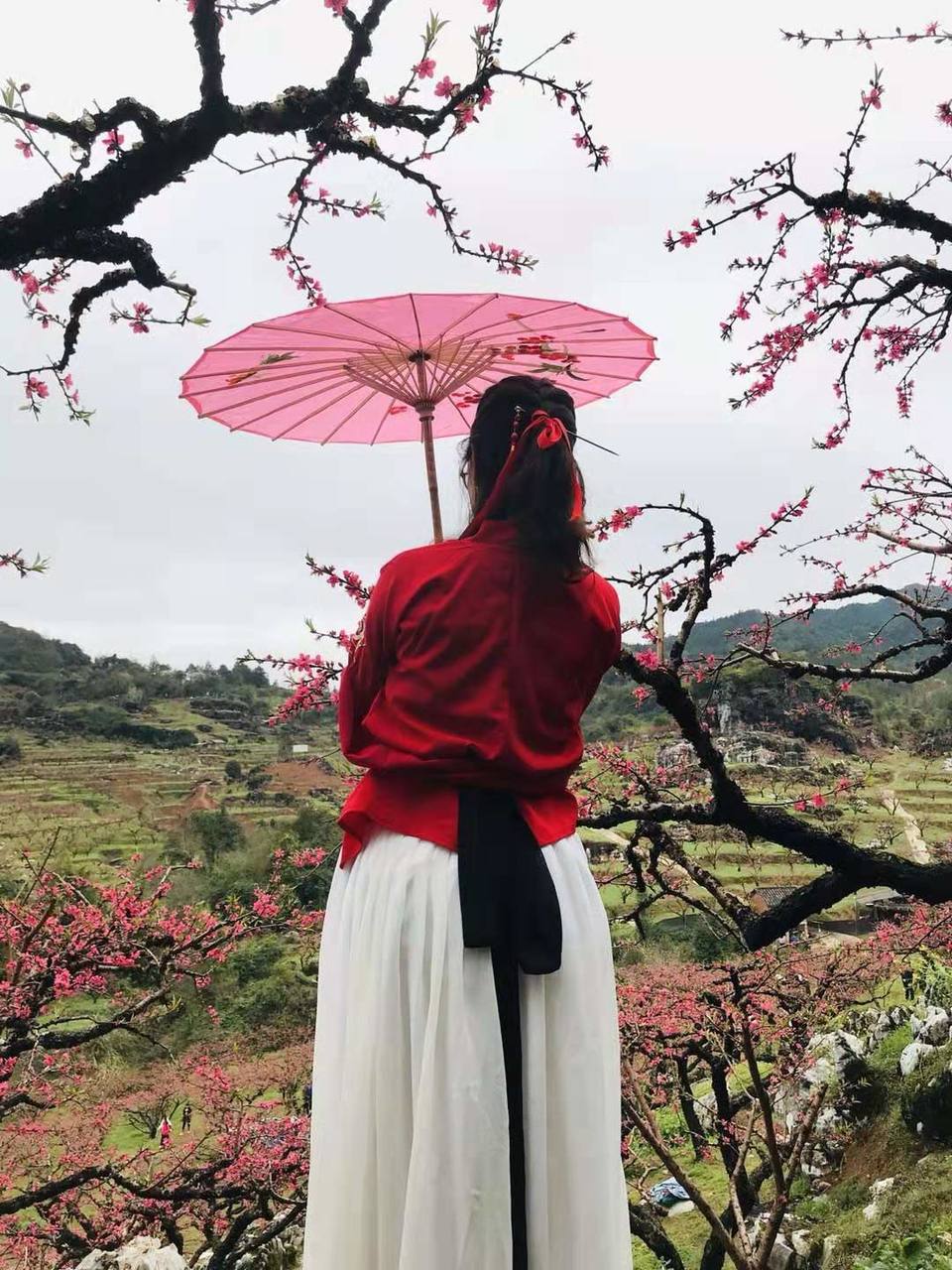 微信图片_20190225145955