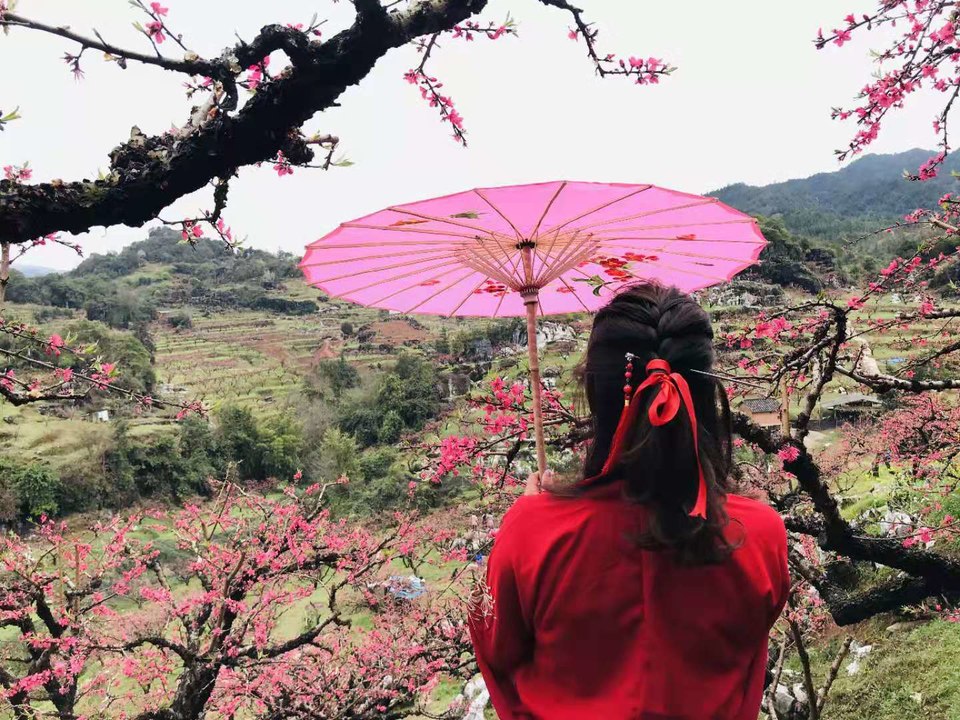 微信图片_20190225150002