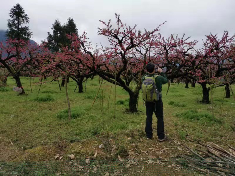 微信图片_20190225150253