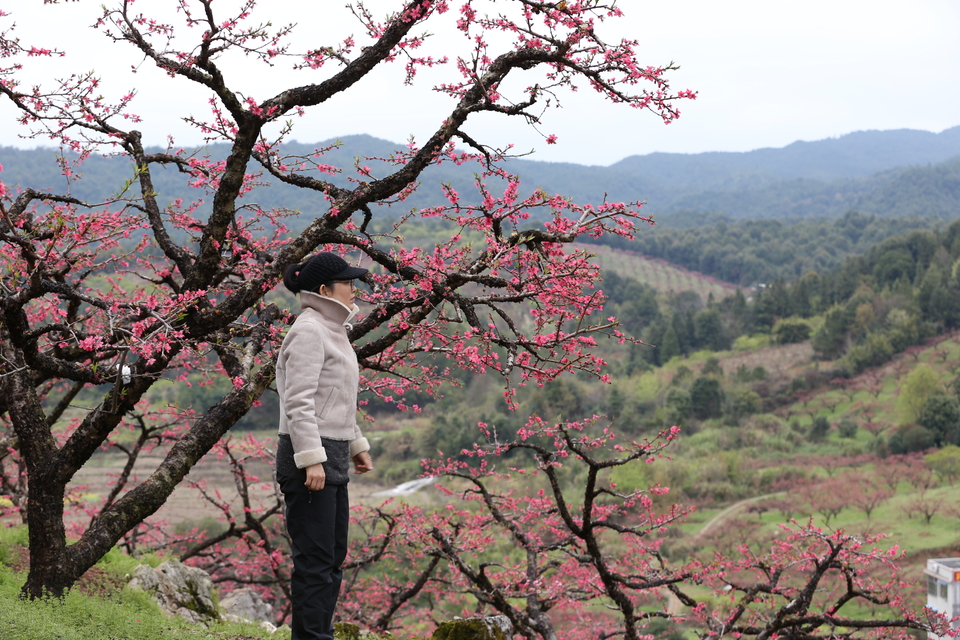 微信图片_20190225150547