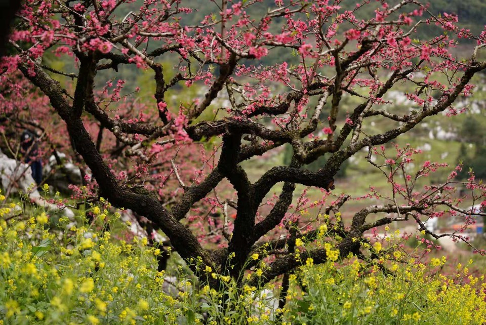 微信图片_20190225150552