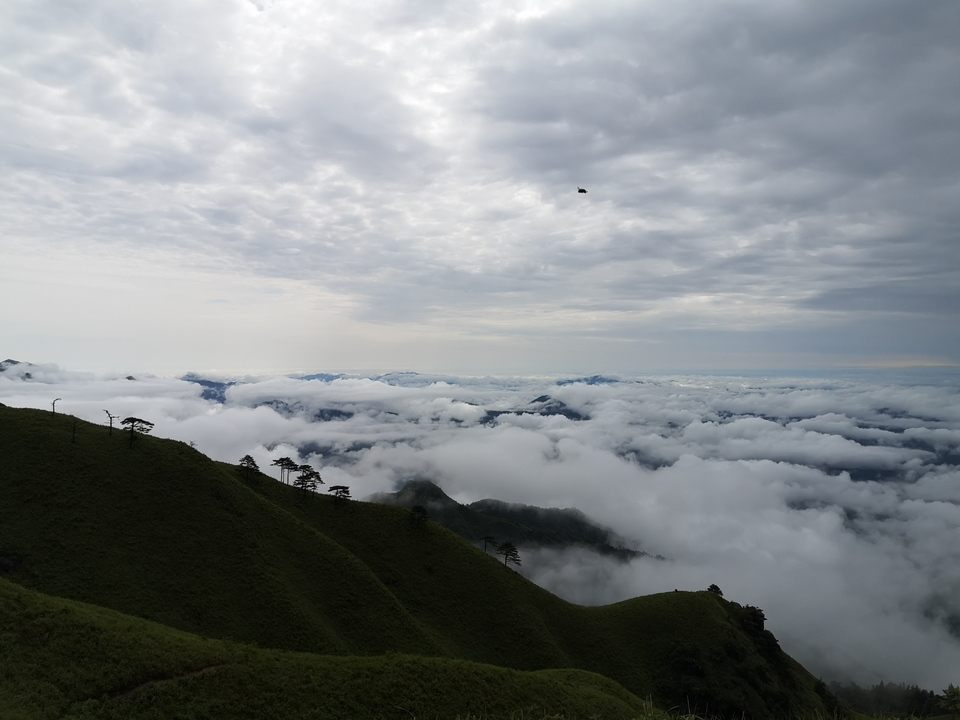 微信图片_20210603112618