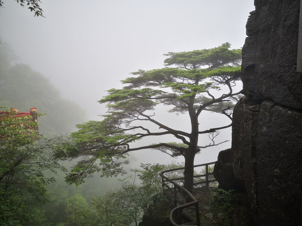 微信图片_20210603112717