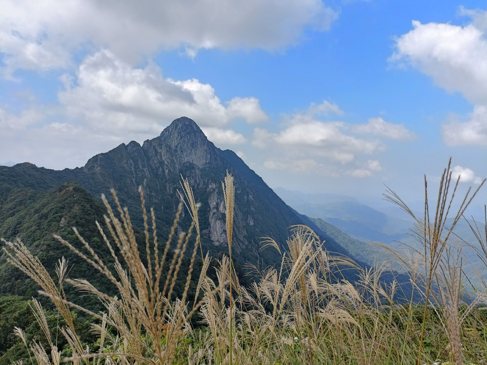 微信图片_20211022105901