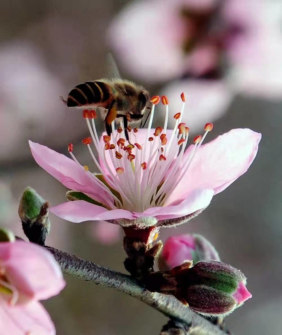 微信图片_20220113154741