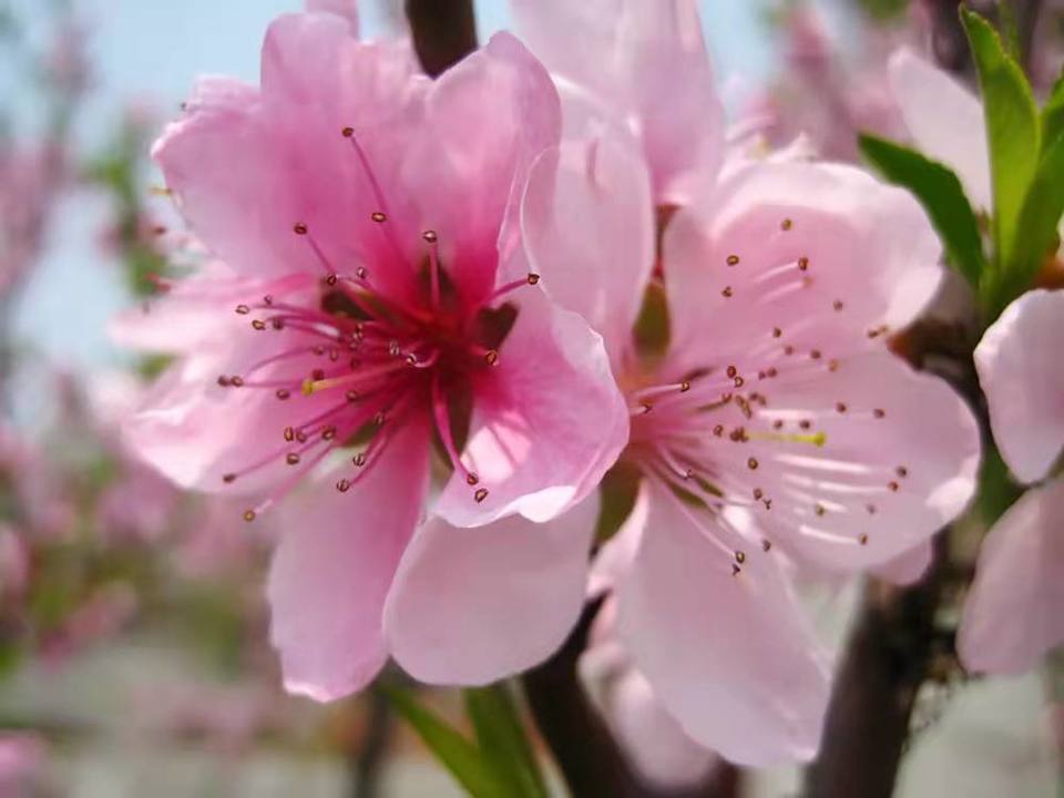 微信图片_20220113154813