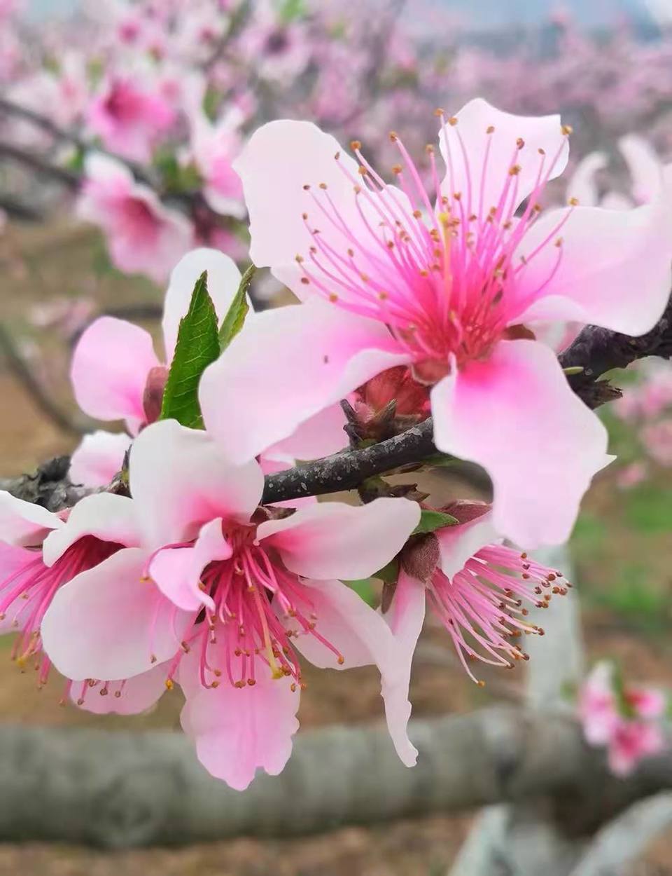 微信图片_20220113154818