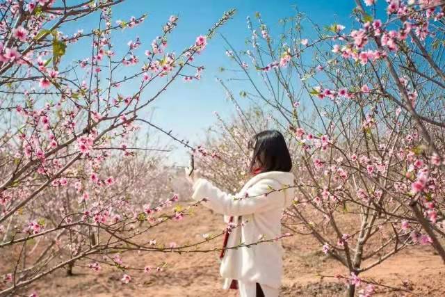 微信图片_20220113154830