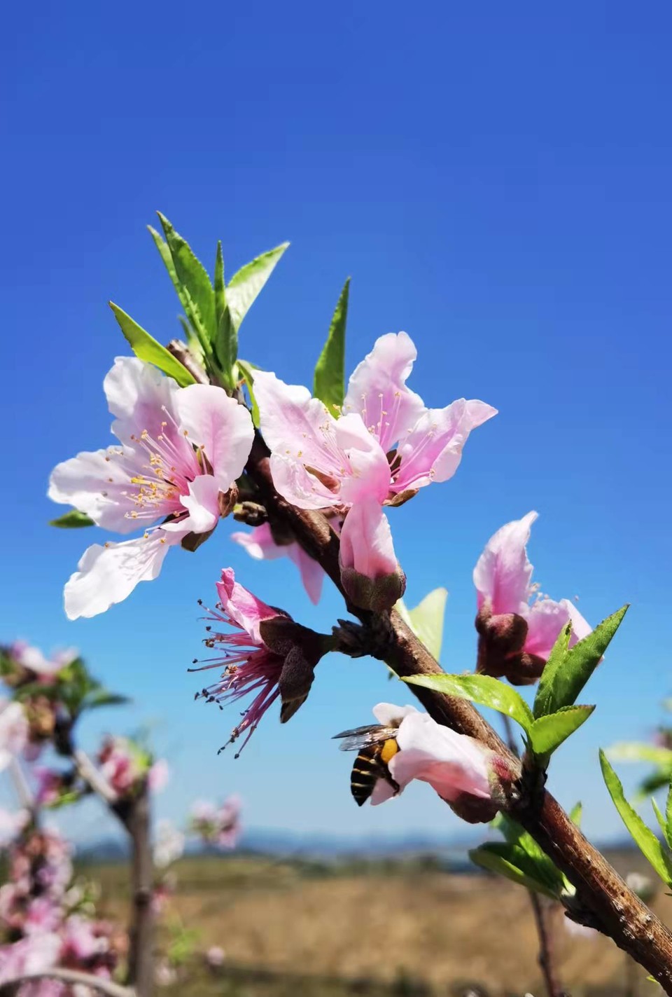 微信图片_20220308143404