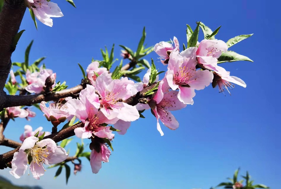 微信图片_20220308143424