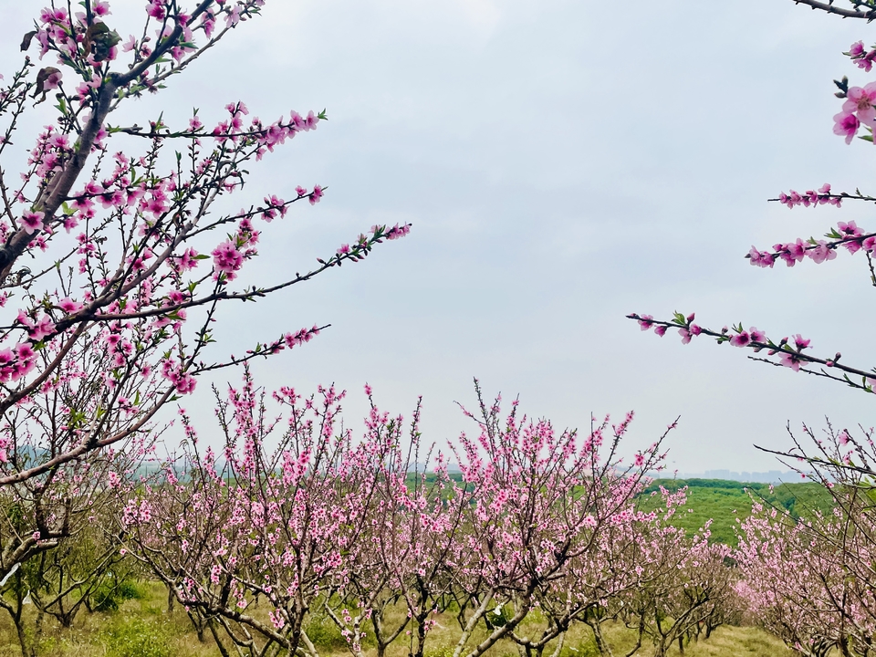 微信图片_20220218105446