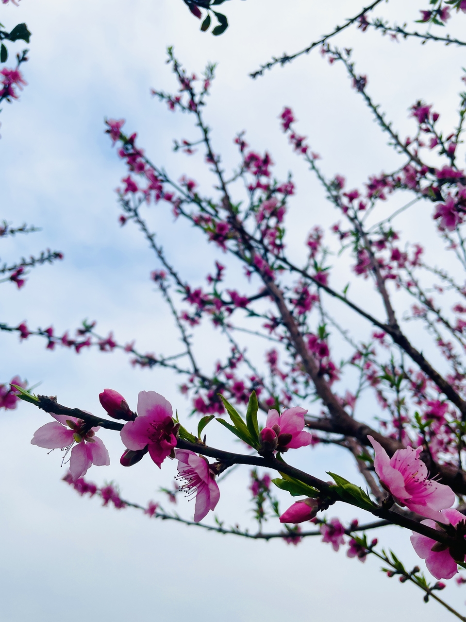 微信图片_20220218105452