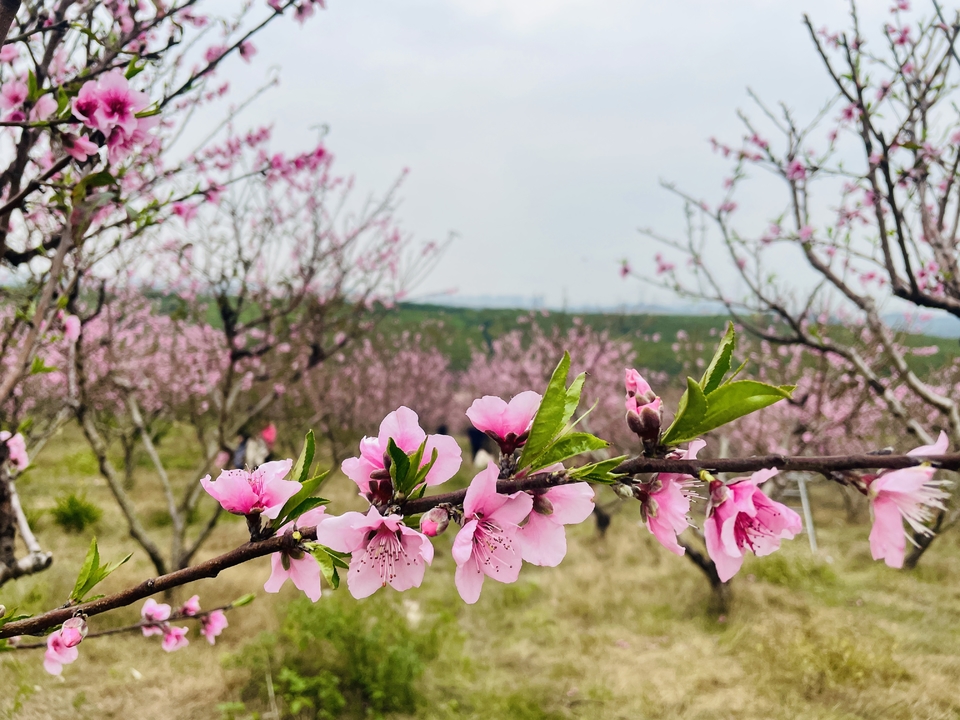 微信图片_20220218105458