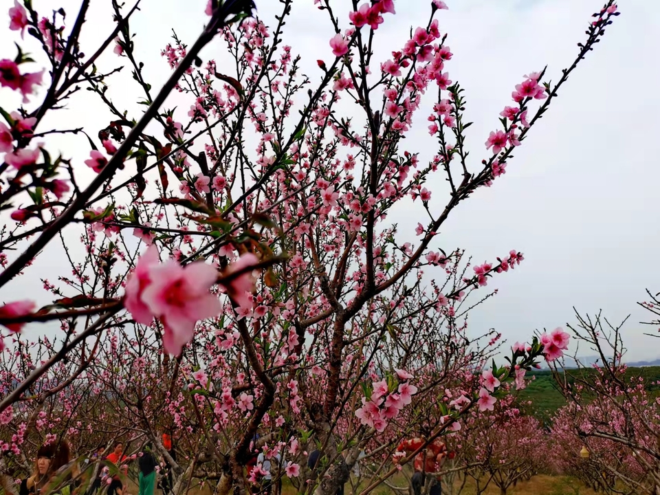 微信图片_20220218105525