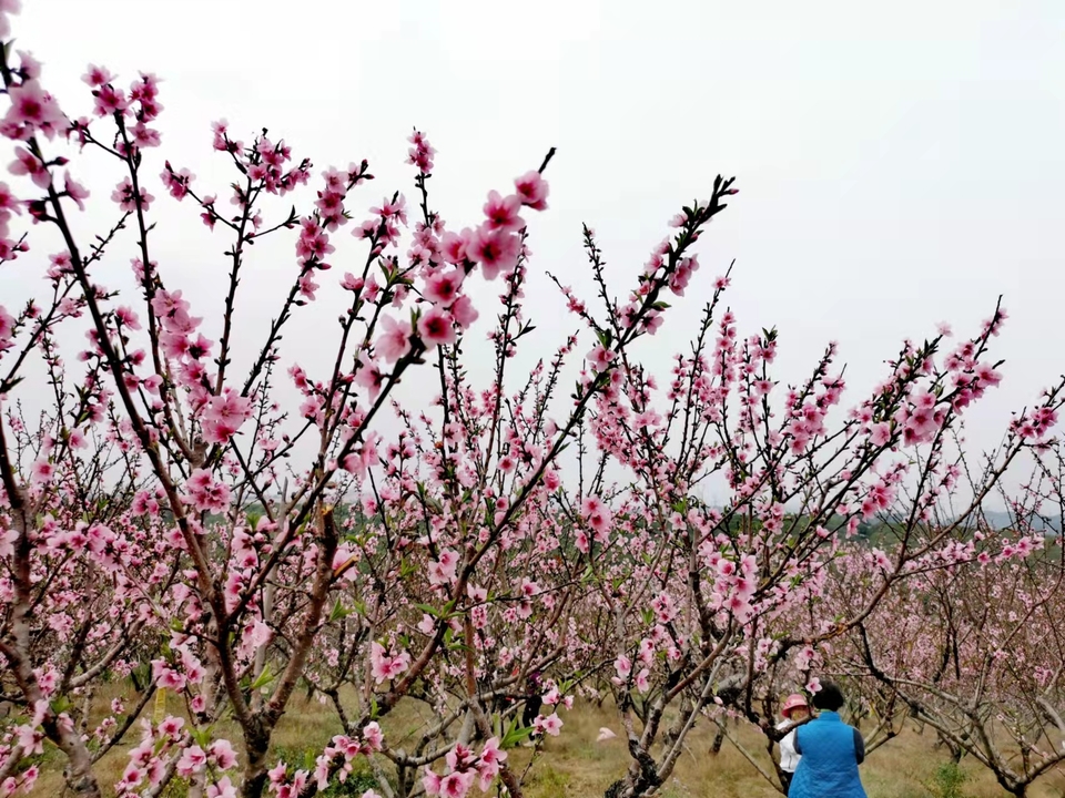 微信图片_20220218105529