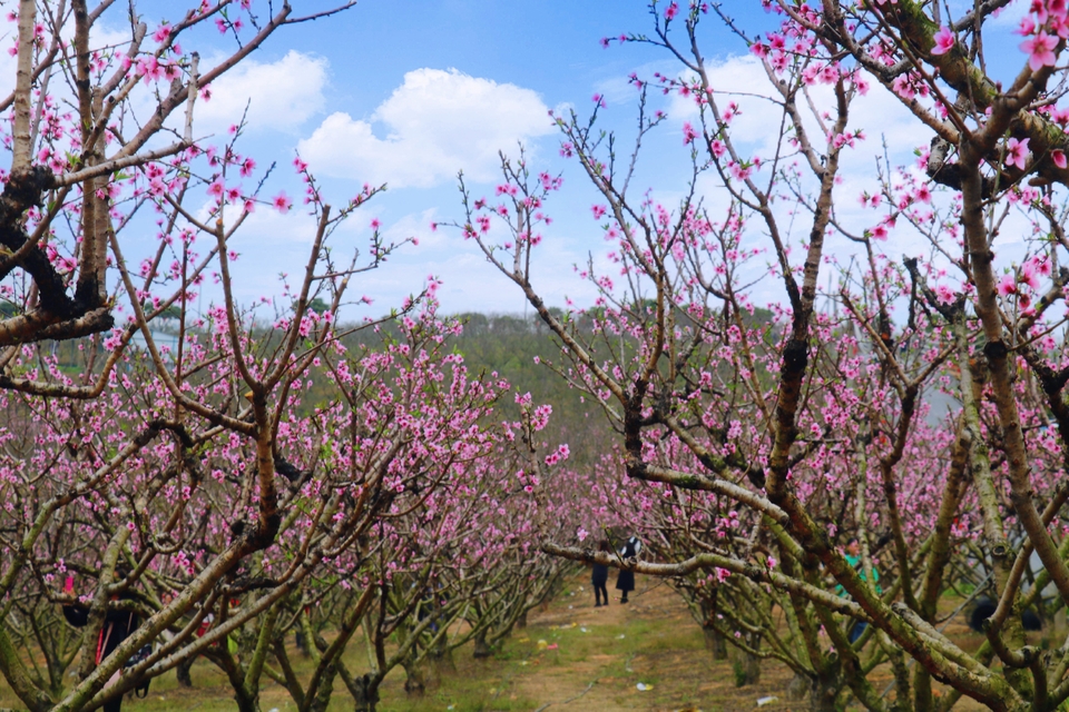 微信图片_20220218105617