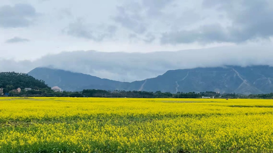 微信图片_20220214093705