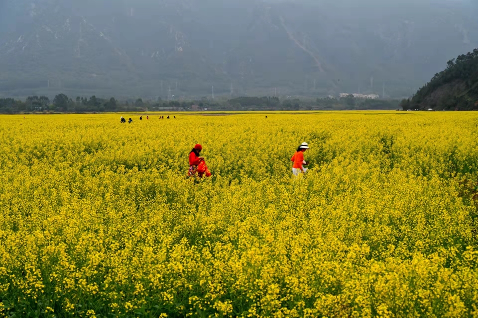 微信图片_20220218105544