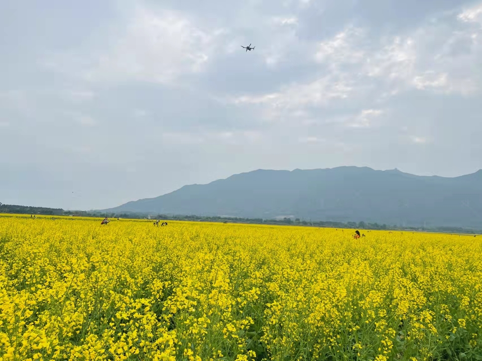 微信图片_20220218105549