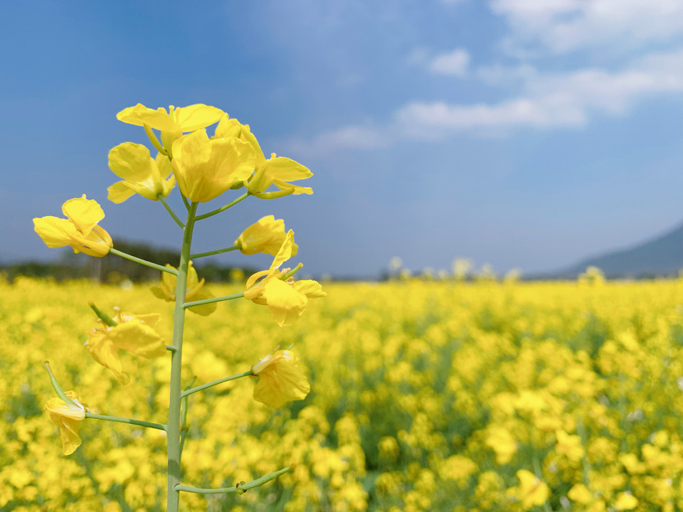 微信图片_20220228110845