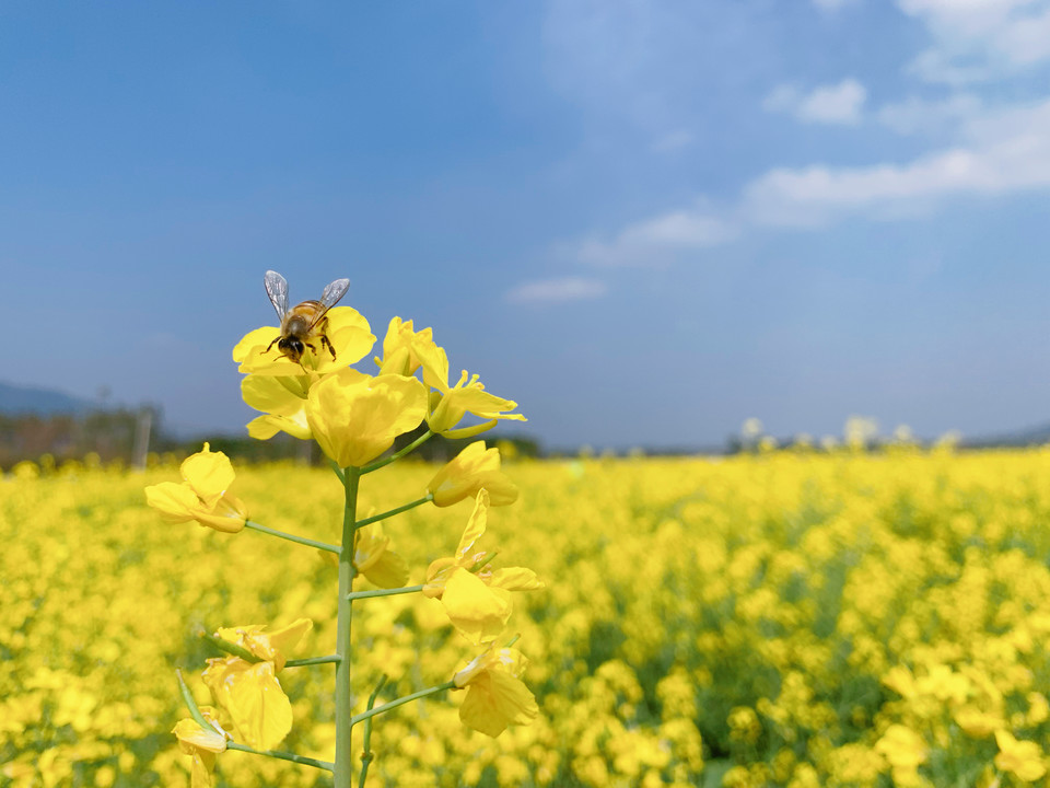 微信图片_20220228110859