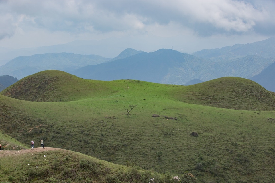 微信图片_20210316150358