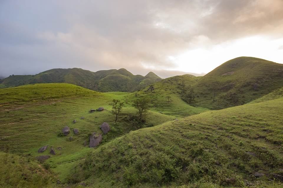 微信图片_20210316151029