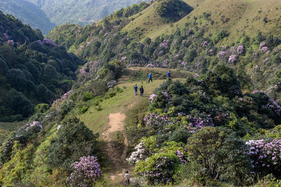 微信图片_20210316151056