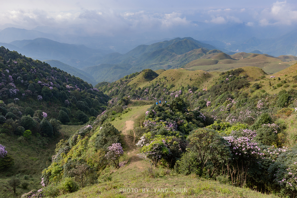 微信图片_20210316151103