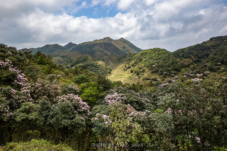 微信图片_20210316151108