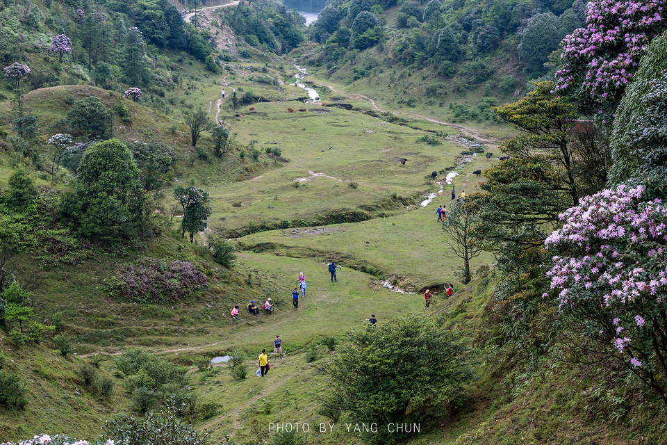 微信图片_20210316151114