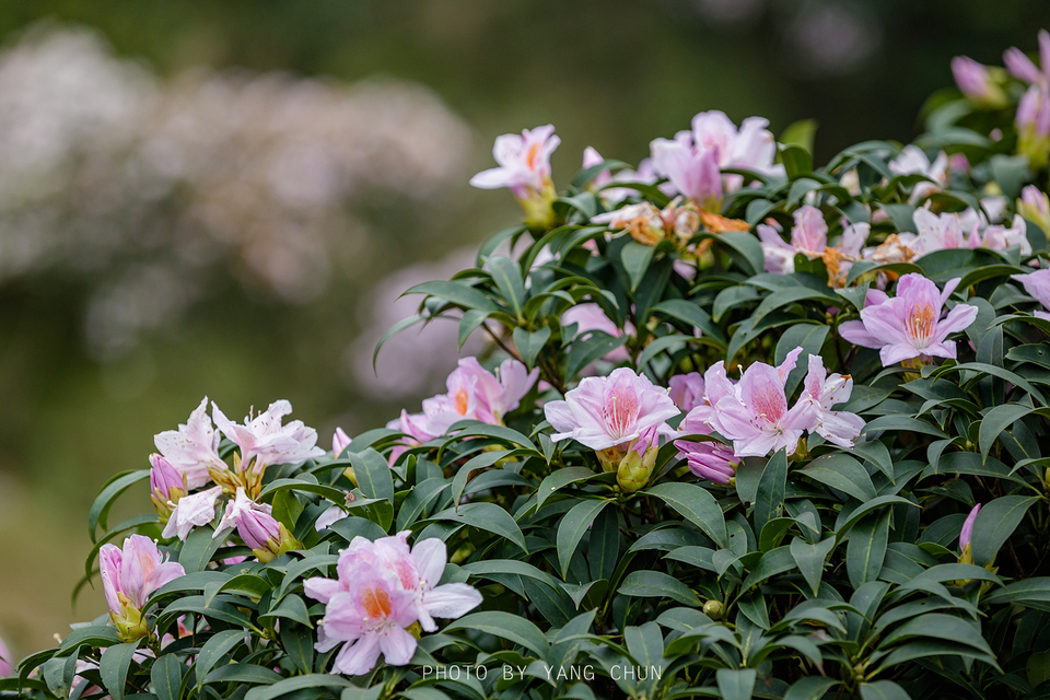 微信图片_20210316151305