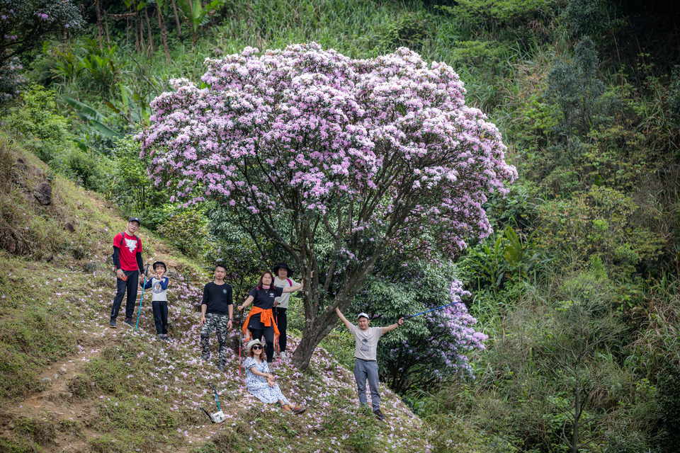 微信图片_20210316151316