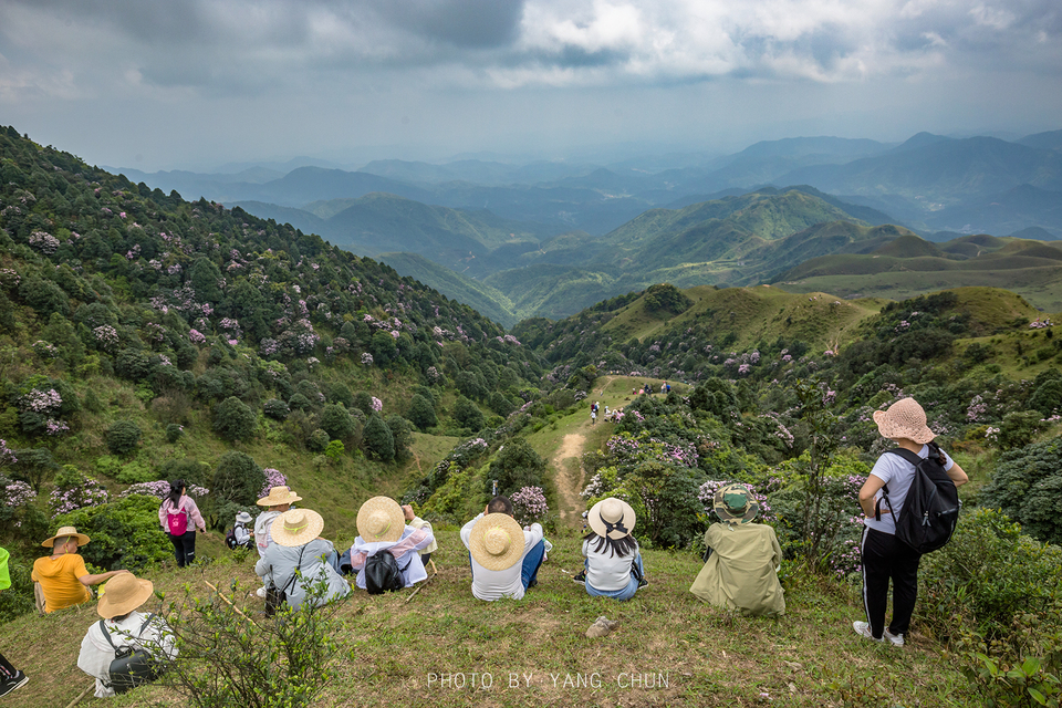 微信图片_20210316151734