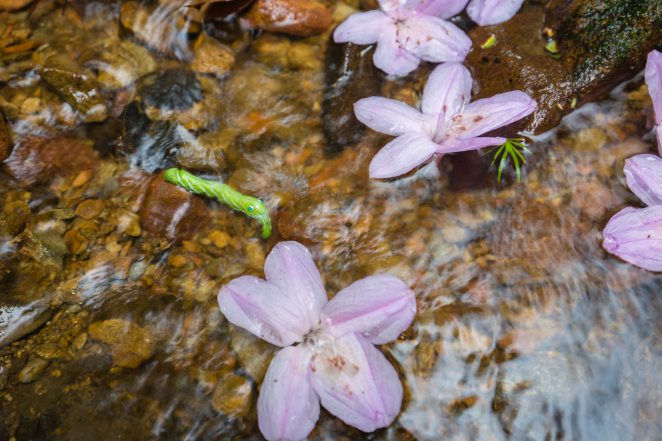 微信图片_20210316151812