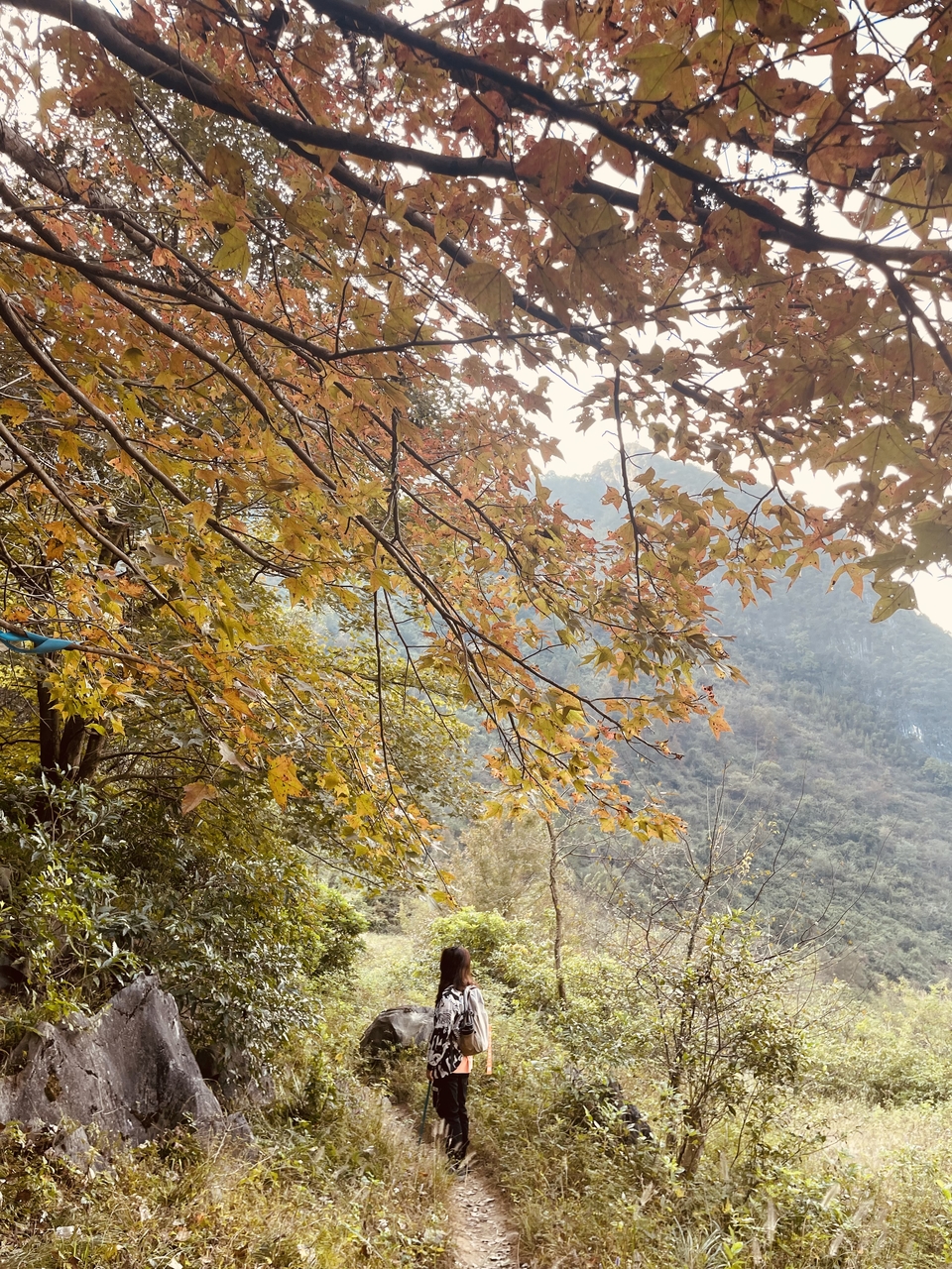 微信图片_20211115162625