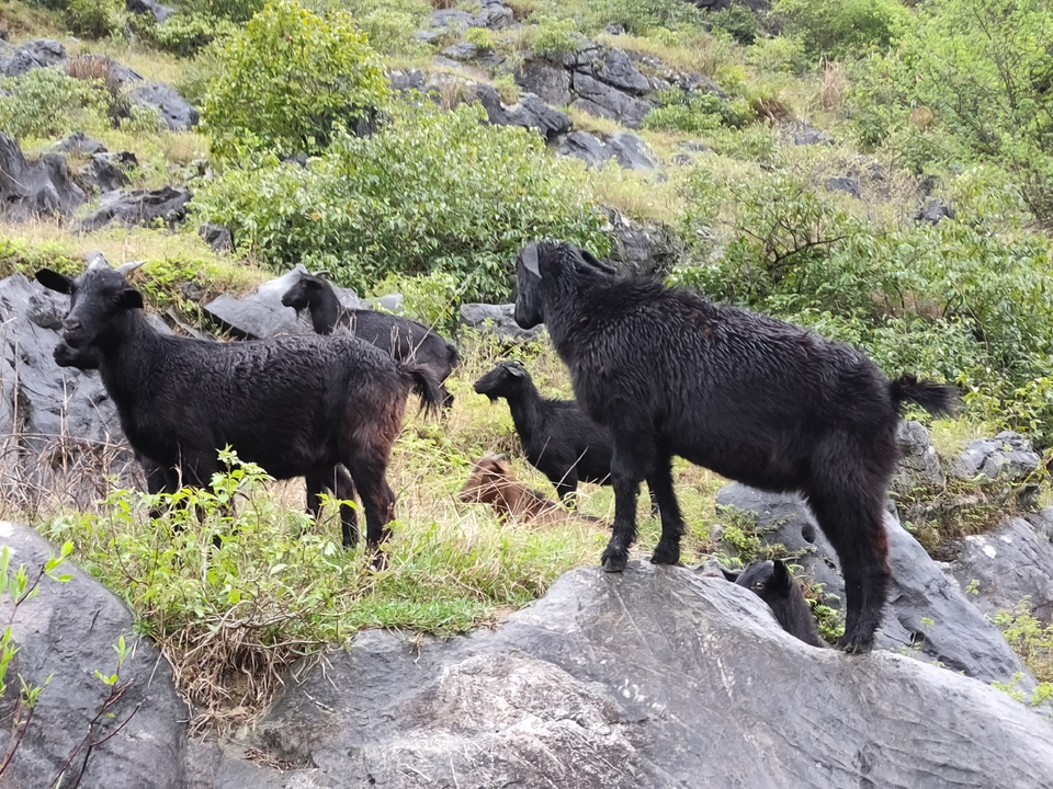 微信图片_20210322142137