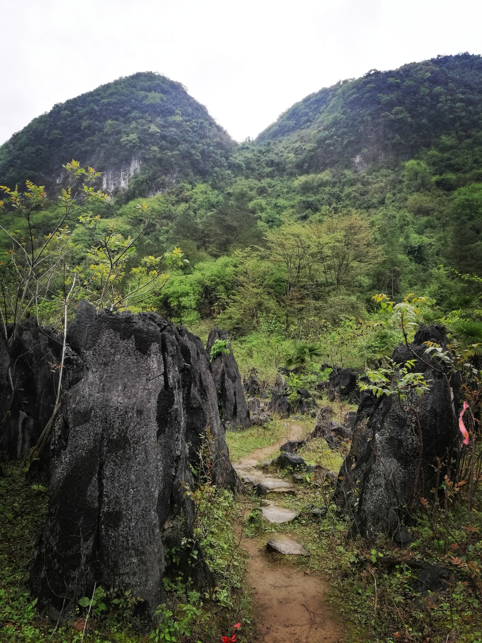 微信图片_20210322142326