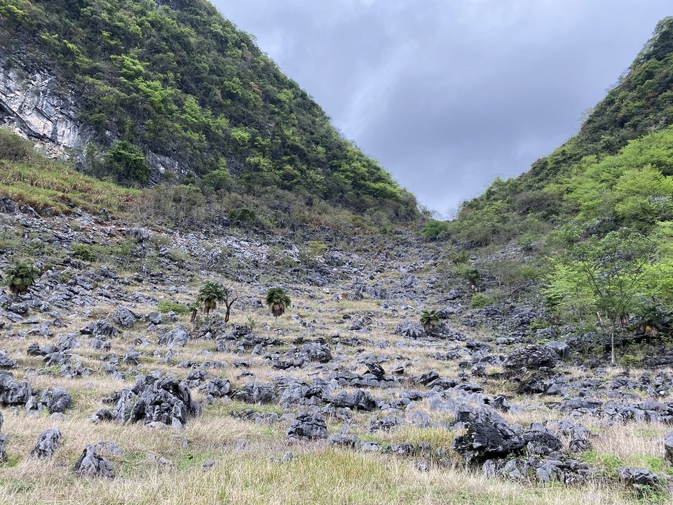 微信图片_20210322142351