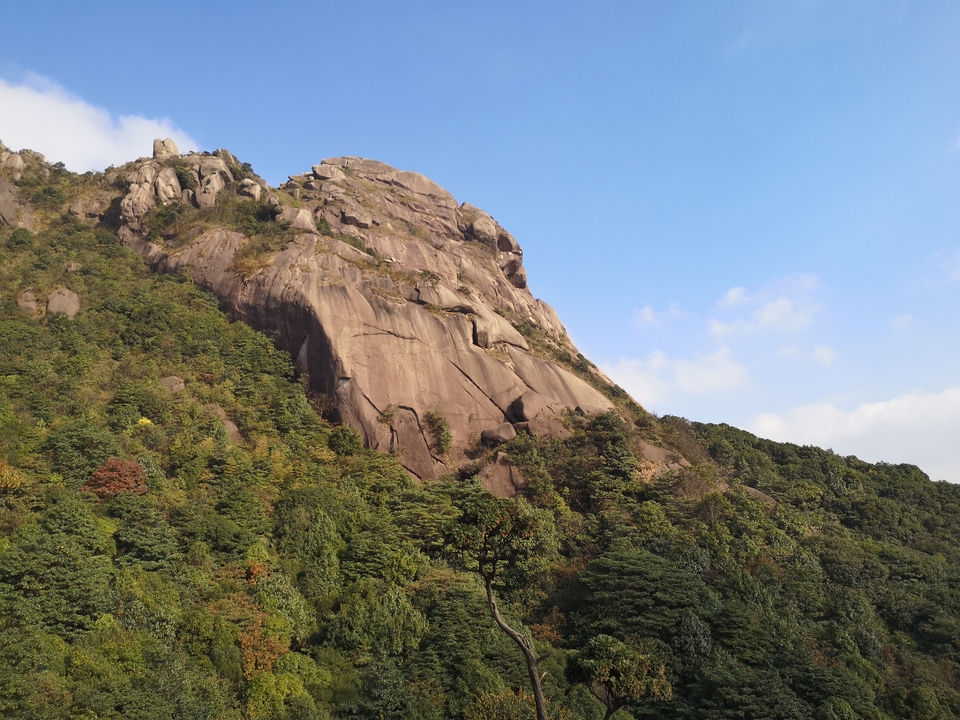 微信图片_20201102094229